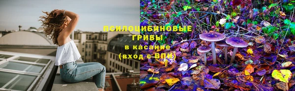 СК Киренск