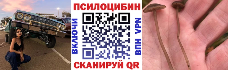 Купить закладки  Симферополь  Галлюциногенные грибы мицелий 